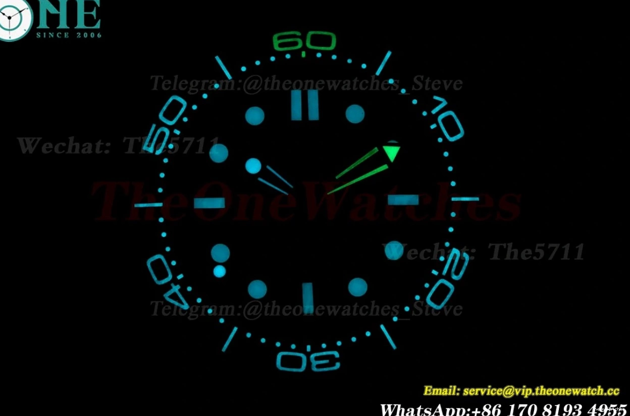 VSF 300m SS Bond 42mm 60th Dial Blue SS Seamaster A8806 James 0125